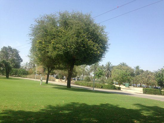 Parc de la Crique de Dubaï